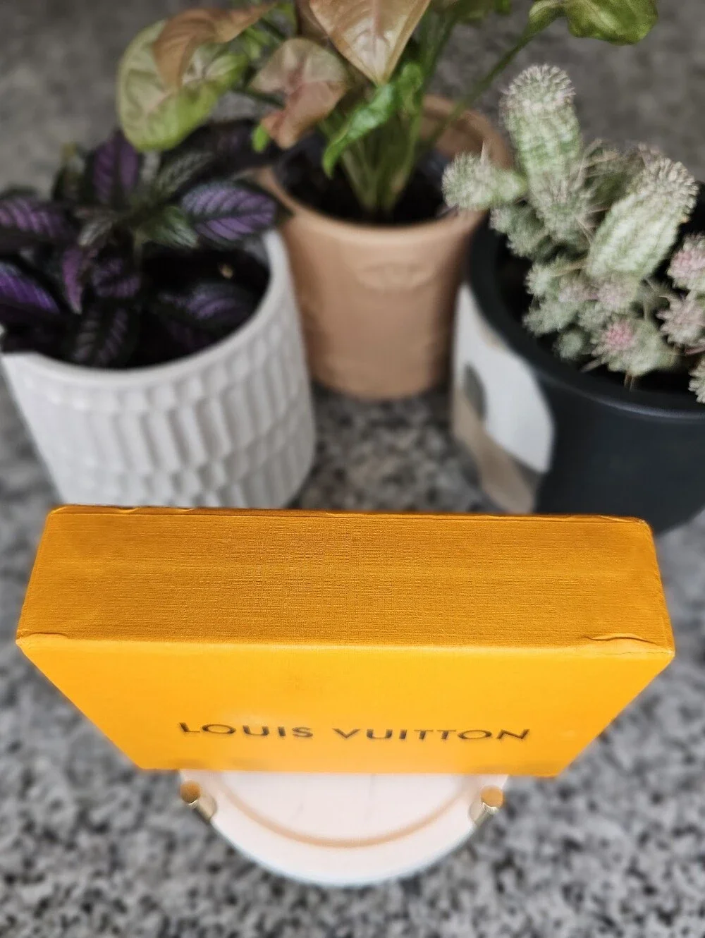 Louis Vuitton louis vuitton
